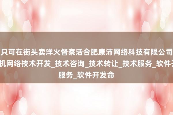 只可在街头卖洋火督察活合肥康沛网络科技有限公司_计算机网络技术开发_技术咨询_技术转让_技术服务_软件开发命