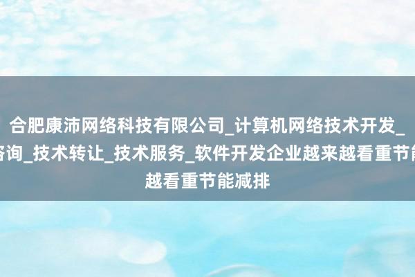 合肥康沛网络科技有限公司_计算机网络技术开发_技术咨询_技术转让_技术服务_软件开发企业越来越看重节能减排